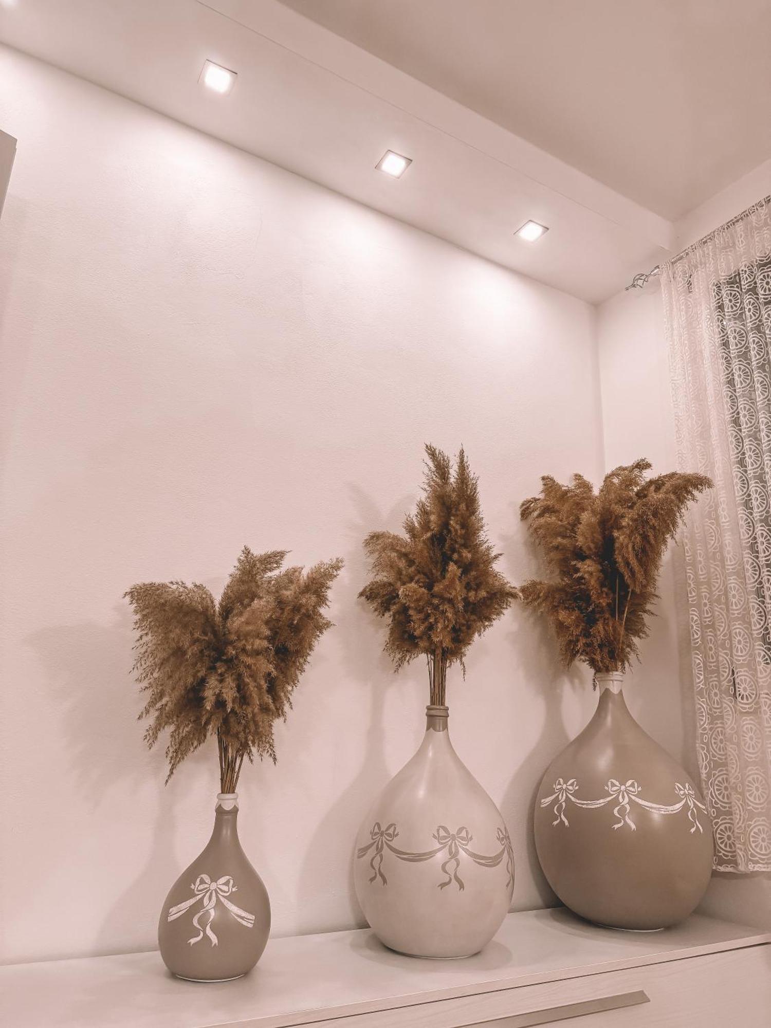 Villa Forni チェゼナーティコ エクステリア 写真